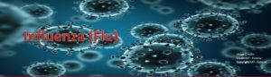 Flu Banner-click for cdc info